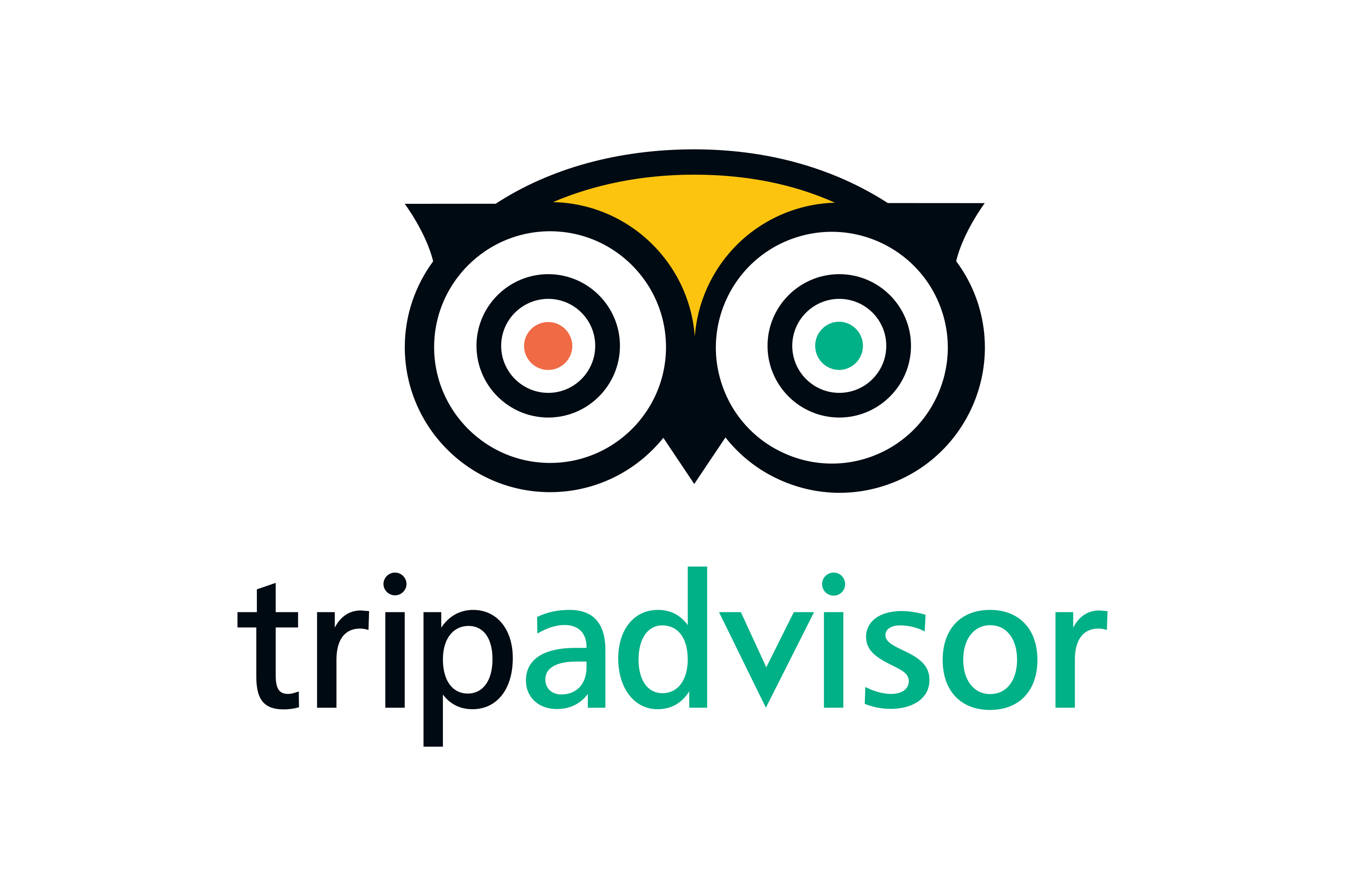 trip-advisor_logo